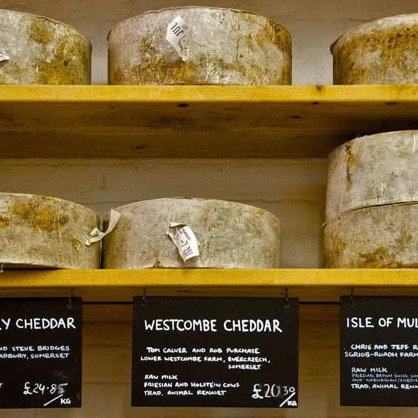 london-cheddar-cheese