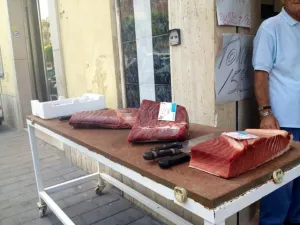trapani-8