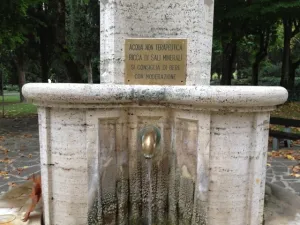 terredisiena-4
