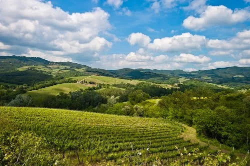 terredisiena