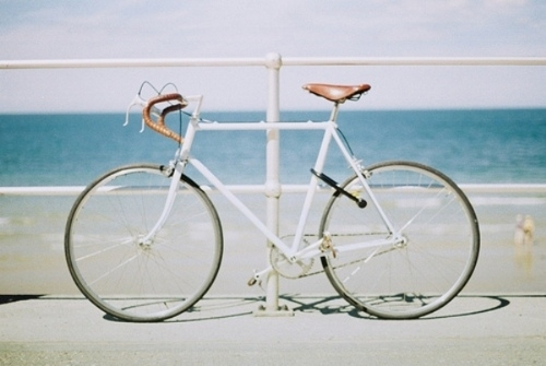 versilia-bici