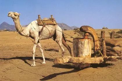 eritrea-travel-3