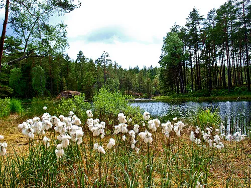 stockholm-green-ekoparken